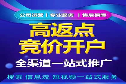 百度推广在电商领域的应用：成功提升销售额的秘诀